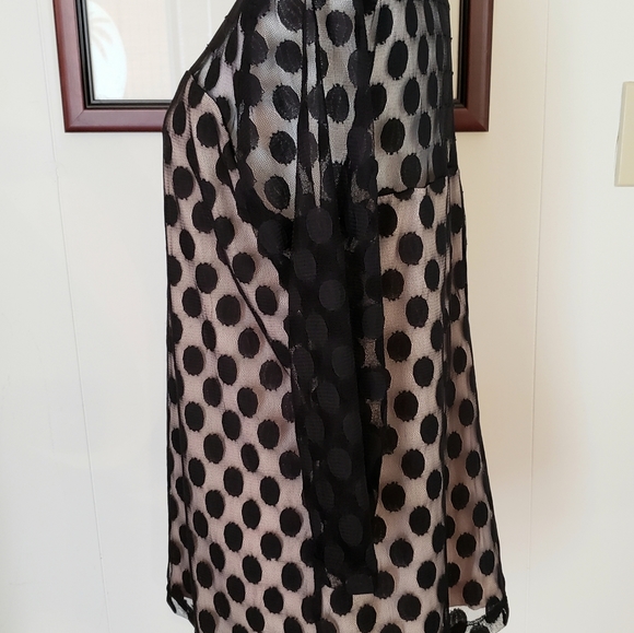 Sheer Polka Dot Overlay & Sweetheart Style Blouse - Picture 2 of 8